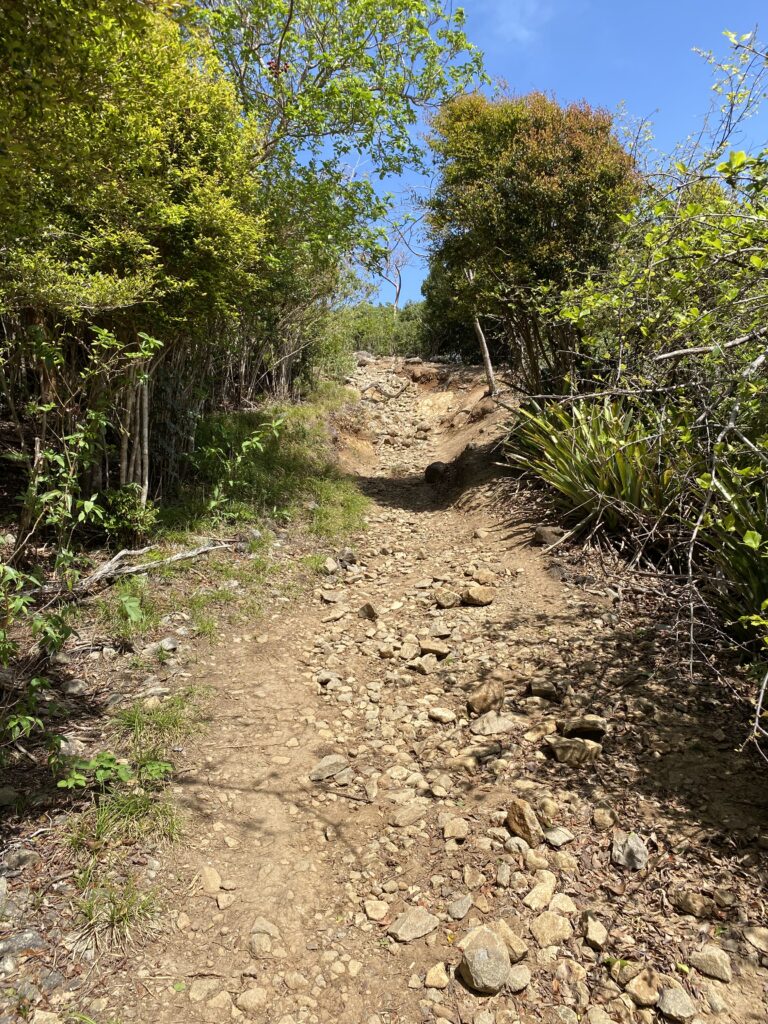 chemin de randonée