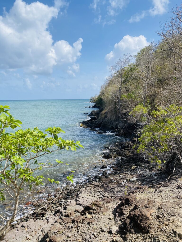 sentier du littoral du Diamand
