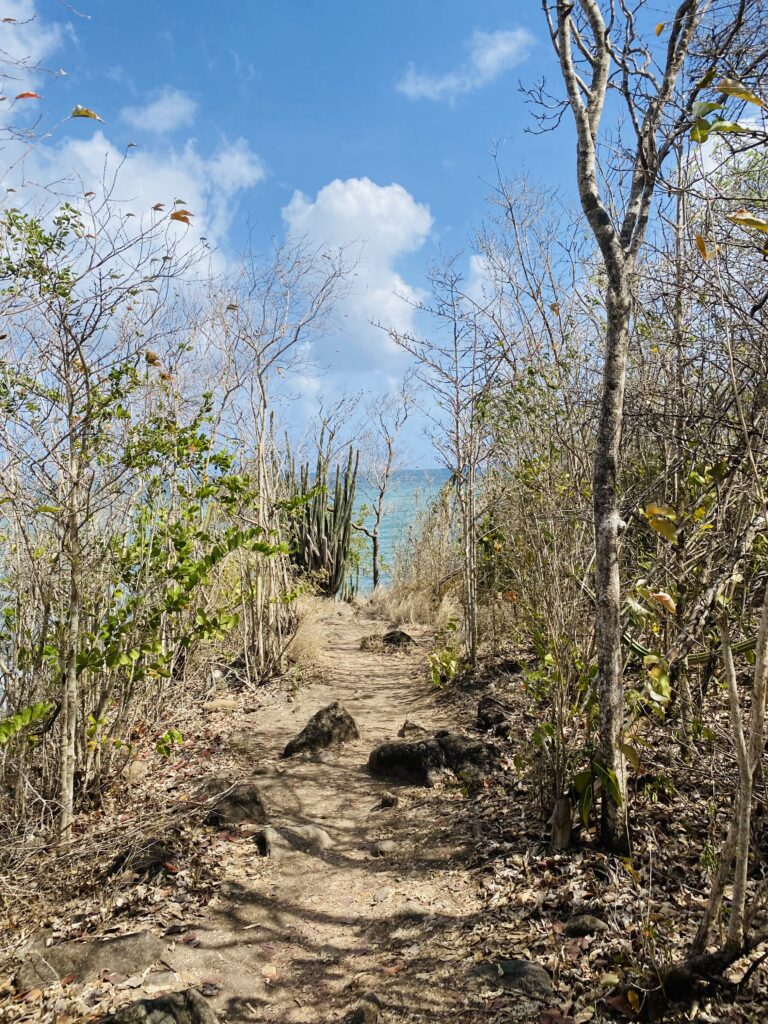 sentier du littoral du Diamand