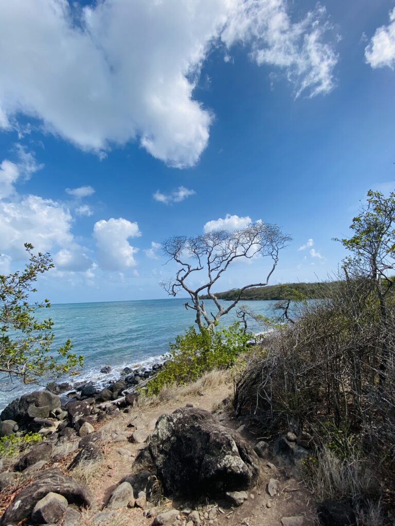 sentier du littoral du Diamand