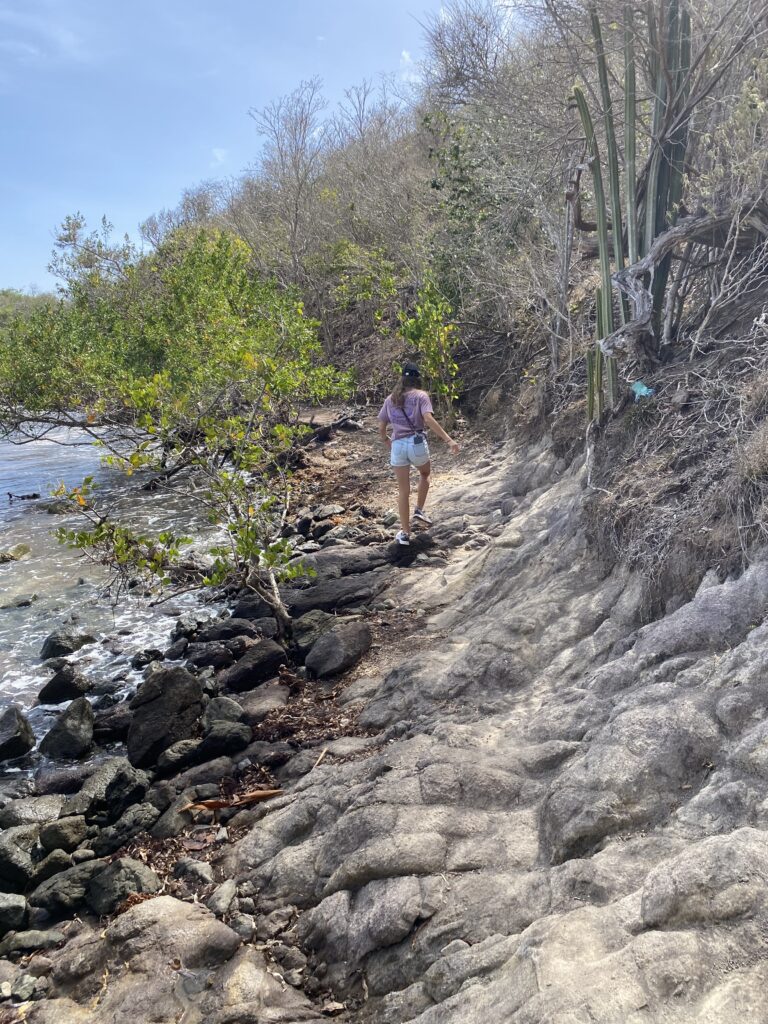 sentier du littoral du Diamand